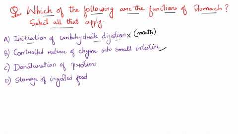 which-of-the-following-are-functions-of-the-stomach-select-all-that-apply-initiation-of-carbohydrate-digestion-controlled-release-of-chyme-into-thc-small-intestine-denaturation-of-proteins-s-06002