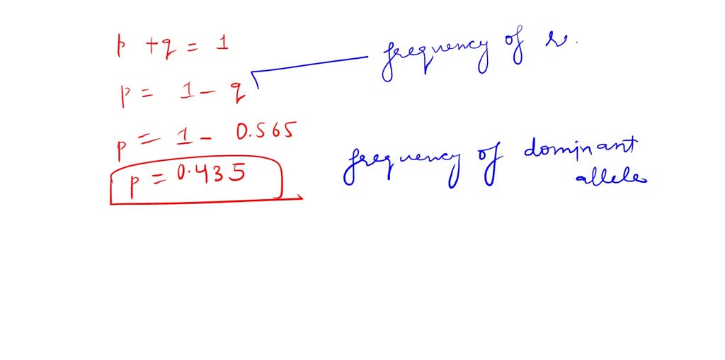 SOLVED The allele for a hitchhiker's thumb is recessive compared to straight thumbs, which are