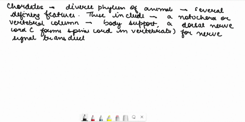 discuss-the-main-features-of-chordates-and-give-at-least-three-examples-of-organisms-that-belong-to-the-phylum-chordata-88012
