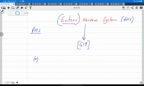 which-statement-about-the-enteric-nervous-system-ens-is-falsemultiple-choiceit-contains-both-sensory-neurons-and-interneuronsit-continues-to-function-following-destruction-of-all-autonomic-i-37071