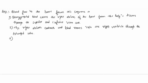 describe-blood-flow-and-gas-exchange-within-the-heart-circulatory-system-lungs-44561