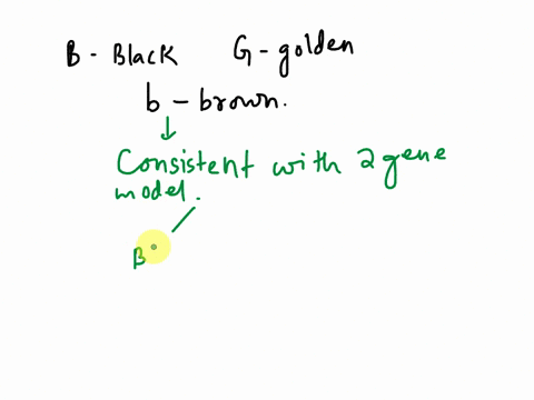 36-labrador-retrievers-may-be-black-brown-chocolate-or-golden-yellow-in-color-see-chapter-opening-photo-on-p70-while-each-color-may-breed-true-many-different-outcomes-are-seen-when-numerous-96088