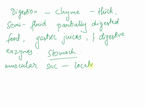 during-the-process-of-digestion-where-in-the-body-does-chyme-form-a-in-the-small-intestine-b-in-the-liver-c-in-the-stomach-d-in-the-esophagus-e-in-the-colon-09966