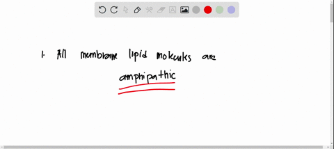 which-of-the-following-statements-is-true-the-most-common-type-of-lipids-in-membranes-sphingolipids-the-lipid-bilayer-is-stable-unchanging-structure-phosphoglycerides-provide-most-of-the-str-34744