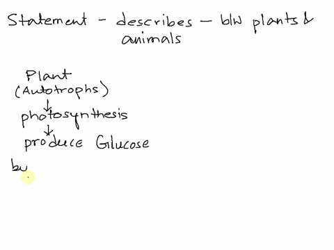 which-statement-accurately-describes-an-interaction-between-plants-and-animals-a-animals-release-o2-required-for-plant-survival-b-animals-release-co2-required-for-photosynthesis-c-plants-pro-95937