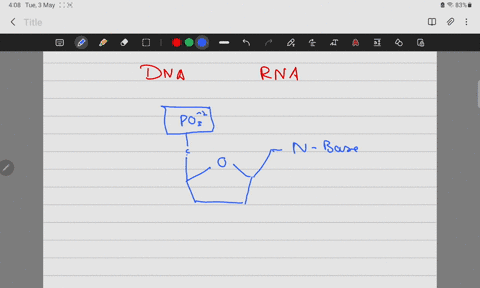 question-39-1-point-if-the-sequence-for-one-strand-of-dna-is-3-tcgatt-5-then-its-complementary-strand-would-have-sequence-of-3-agctaa-5-true-false-question-40-1-point-which-of-the-following-70354