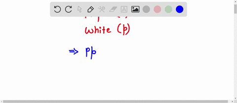 in-a-certain-species-of-plant-the-color-purple-p-is-dominant-to-the-color-white-p-according-to-the-punnett-square-what-is-the-probability-of-an-offspring-being-white-00693