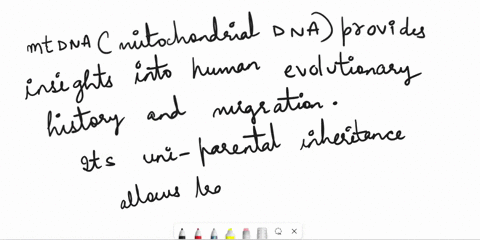 1-what-does-mtdna-tell-us-about-human-evolutionary-history-and-migration-2fisher-created-the-concept-of-fst-to-describe-population-subdivision-what-do-the-fst-rates-in-sub-saharan-africa-say-93312