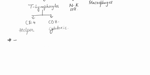 cell-mediated-immunity-is-a-function-of-b-lymphocytes-nk-cells-macrophages-t-lymphocytes-00968