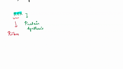 question-22-which-of-the-following-is-not-correctly-paired-rough-endoplasmic-reticulum-protein-synthesis-chloroplast-photosynthesis-smooth-endoplasmic-reticulum-lipid-synthesis-golgi-apparat-30837