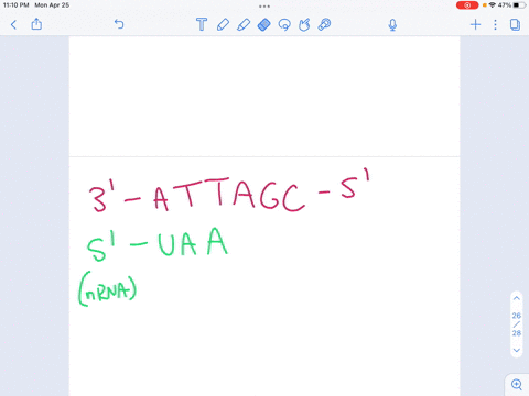 refer-to-the-codon-table-as-necessary-to-answer-the-questions-consider-the-template-dna-sequence-3-_attagc-5-give-the-sequence-of-the-dipeptide-formed-after-transcription-and-translation-usi-56071