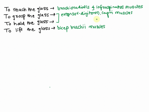 what-muscles-are-used-and-what-actions-are-performed-when-you-pick-up-a-glass-of-water-89792
