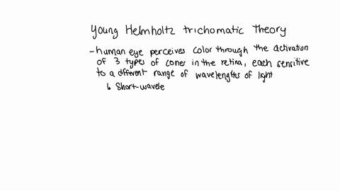 3-describe-the-young-helmholtz-trichromatic-theory-of-colour-vision-what-kinds-of-evidence-support-this-theory-and-what-two-phenomena-challenge-it-5-points-08924
