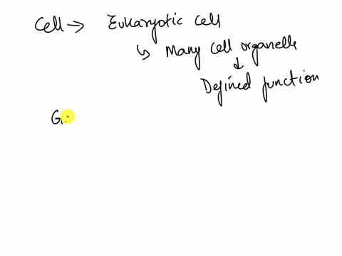 in-which-organelle-does-the-dna-replication-occur-in-the-cell-90125