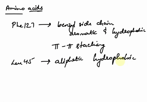 consider-a-hypotheticab-protein-protein-g-which-is-shown-in-green-below-it-binds-the-molecule-diphenhydramine-also-known-as-benadryl-which-is-shown-in-black-red-and-blue-phe-127-leu-45-ch3-l-62755