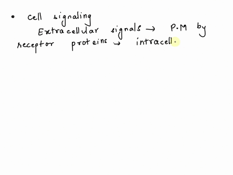 cell-signaling-involves-converting-extracellular-signals-to-specific-responses-inside-the-target-cell-different-molecules-are-involved-at-each-stage-of-the-process-sort-items-based-on-which-64236