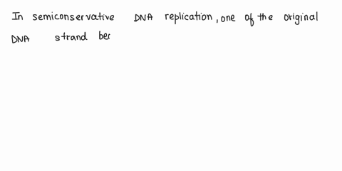 another-question-wiil-save-thts-response-moving-question-semiconservative-fashion-mejnt-when-dna-repliratedin-ofthe-original-dna-strand-becornes-one-of-the-strands-of-the-newly-made-dna-only-94663