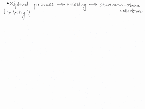 the-xiphoid-process-is-often-missing-from-the-sternum-in-bone-collections-hypothesize-why-it-might-be-missing-18595