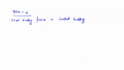 which-of-the-following-is-not-included-in-coated-budding-vesicle-gtp-binding-protein-coat-proteins-t-snares-cargo-proteins-95615
