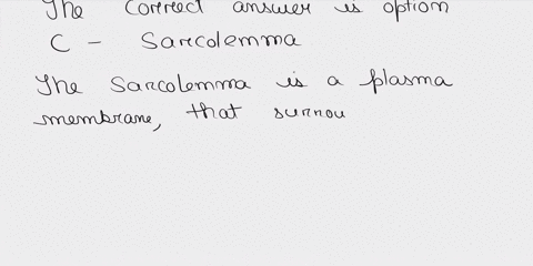 the-___________-is-the-plasma-membrane-of-a-muscle-fiber-a-sarcoplasm-b-sarcoplasmic-reticulum-c-sar-81633