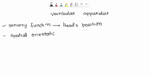 choose-the-characteristics-of-the-vestibular-apparatus-check-all-that-apply-check-all-that-apply-provides-a-sense-of-equilibrium-is-located-in-the-inner-ear-produces-action-potentials-that-t-01026