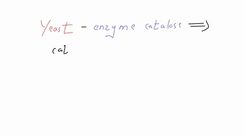 what-would-happen-if-you-added-more-than-5-ml-of-yeast-solution-to-the-h2o2