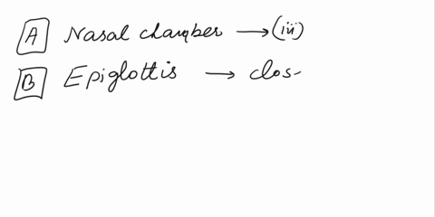progress-check-match-the-items-in-column-with-those-in-column-ii-column-1-column-ii-a-nasal-chamber-i-production-of-voice-b-epiglottis-ii-c-shaped-rings-c-air-sacs-iii-warms-air-d-lungs-iv-d-23689