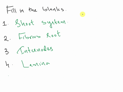 fill-in-the-blanks-1a-plant-body-consists-of-the-root-system-and-the-___-system-2grasses-have-___-roots-3the-portion-of-the-stem-between-two-nodes-is-called-___-4the-wide-flat-portion-of-the-56288