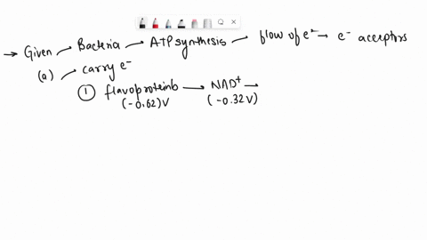 f-some-of-the-major-chloroplast-electron-transport-carriers-are-indicated-in-the-table-below-with-their-standard-reduction-potentials-place-these-carriers-in-the-order-in-which-they-are-most-97696