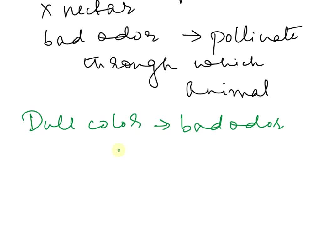 SOLVED A full colored flower that does not produce nectar, flowers