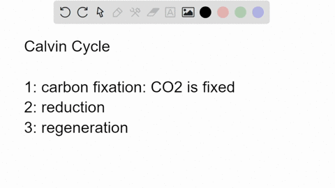 why-is-the-third-stage-of-the-calvin-cycle-called-the-regeneration-stage-02414