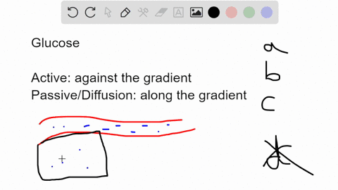 glucose-moves-from-blood-into-cells-by-select-one-a-active-transport-b-simple-diffusion-ici-facilitated-diffusion-d-osmosis-45598