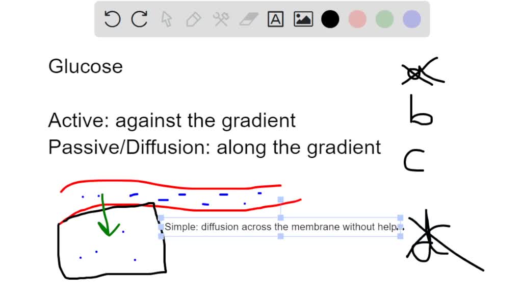 SOLVED: Glucose Moves From Blood Into Cells By: Select One: A. Active ...