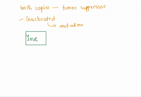 both-copies-of-a-tumor-suppressor-gene-must-be-inactivated-by-mutation-in-order-to-contribute-to-cancer-development-is-this-true-or-false-explain-your-answer-23844