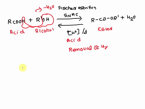 esterif-crlonclaa-axohol-iclovtinn-shonn-beow-th6-quuteilin-react-on-ceeetttint-prinoct_-uecoss-and-euter-fischer-esterification-snac-i-oh-hoh-oh-ht-cat-4-or-carboxylic-acid-alcohol-carboxyl-12561