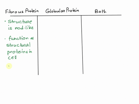 classify-the-words-or-phrases-as-descriptions-or-examples-of-fibrous-proteins-globular-proteins-or-both-fibrous-proteins-globular-proteins-both-structure-is-rod-like-some-function-as-enzymes-18705