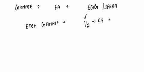 the-gamete-that-contains-the-genes-contributed-by-the-father-is-te-spem-allele-egg-zygote-53-10536