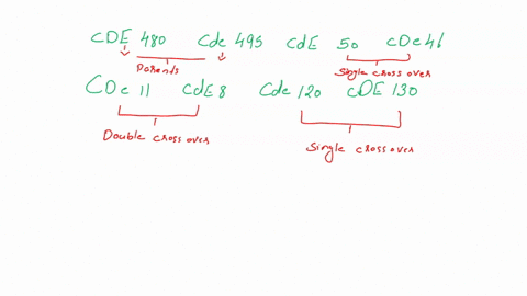 which-of-the-following-is-not-a-neural-adaptation-to-strength-training-select-one-a-increased-motor-unit-recruitment-b-decreased-rate-codingfrequency-of-activation-c-improved-synchronization-74614