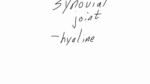 the-articular-cartilages-within-a-synovial-joint-are-typically-made-of-hyaline-cartilage-fibrocartilage-elastic-cartilage-dense-regular-connective-tissue