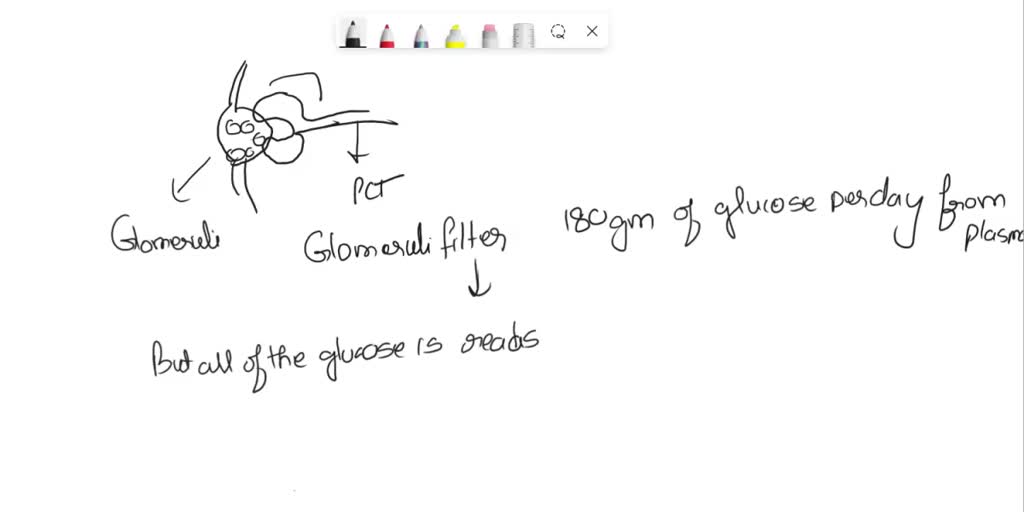 SOLVED In the condition diabetes mellitus, why does glucose appear in