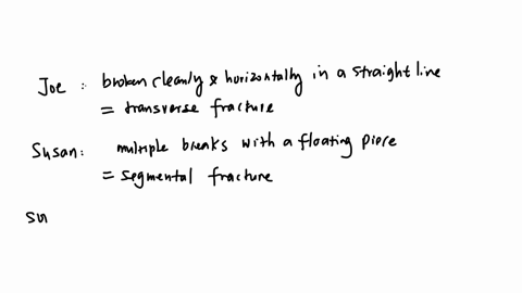 1joe-fell-from-a-rock-wall-and-landing-directly-on-his-outstretched-arm-causing-the-bone-to-break-cleanly-across-horizontally-the-break-is-in-a-straight-line-across-the-bone-2susan-was-in-a-car-accide