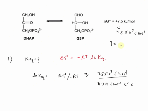 bch-3023c-biochemistry-triose-phosphate-isomerase-in-a-key-reaction-of-glycolysis-dihydroxyacetone-phosphate-dhap-is-isomerized-into-glyceraldehyde-3-phosphate-g3p-by-the-action-of-the-enzym-66194