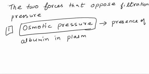 identify-the-two-2-forces-that-oppose-filtration-pressure-at-the-glomerulus-describe-what-causes-the-two-opposing-forces-52446