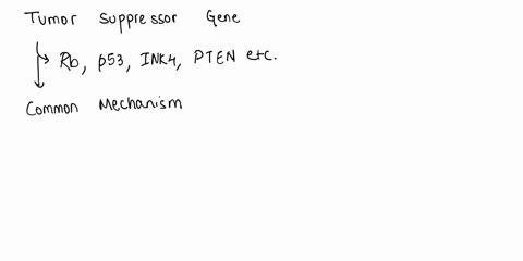 the-normal-function-of-a-tumor-suppressor-gene-is-a-to-cause-cells-to-divide-b-to-cause-cells-to-stop-dividing-c-to-cause-cells-to-exit-the-cell-cycle-d-to-cause-cells-to-die-e-a-and-b-are-c-99062