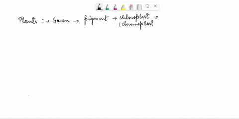describe-what-is-the-role-of-chlorophyll-inside-chloroplasts-54743