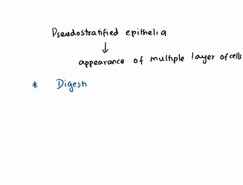 pseudostratified-epithelia-are-well-adapted-to-the-digestive-system-because-the-cilia-increase-the-surface-area-for-absorption-true-or-false-66886