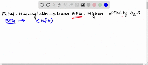 fetal-hemoglobin-has-a-lower-bpg-affinity-23-bisphosphoglycerate-than-adult-hemoglobin-identify-the-hemoglobin-that-will-have-a-higher-affinity-for-o2-justify-your-response-on-biochemical-te-18947