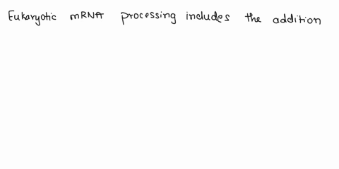 processing-of-eukaryotic-rna-yields-a-mature-mrna-that-typically-has-a-5-cap-a-3-poly-a-tail-and-has-removed-an-amount-of-introns-has-a-mix-of-methylated-groups-before-and-after-the-open-rea-50443