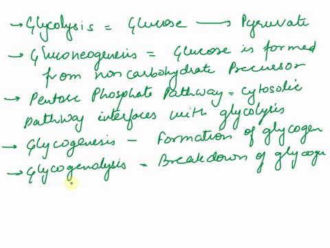 glycolysis-gluconeogenesis-pentose-phosphate-pathway-glycogenesis-glycogenolysis-citric-acid-cycle-electron-transport-chain-oxidative-phosphorylation-fatty-acid-oxidation-ie-beta-oxidation-f-72678