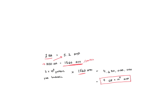 the-estimated-biosynthetic-cost-for-synthesizing-and-assembling-one-amino-acid-in-an-coli-bacterium-in-efficient-growing-conditions-is-52-atp-equivalents-if-on-average-there-are-3-x-106-prot-51145